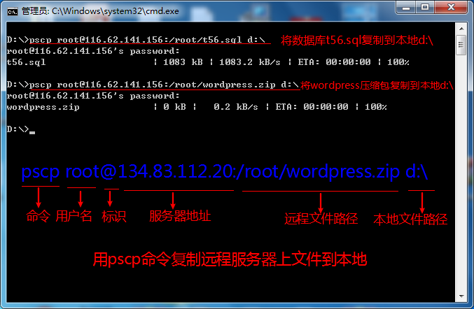 pscp复制文件